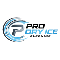 Pro dry ice logo